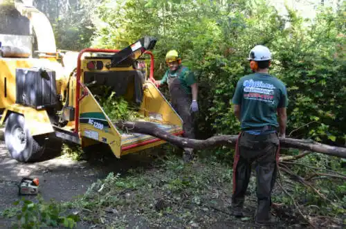 tree services Tower Hill